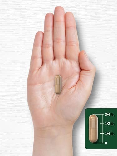 Carlyle Vitex Mönchspfeffer Kapseln | 150 Kapseln | Vitex Agnus-Castus Frucht für Frauen | Non-GMO, Glutenfrei