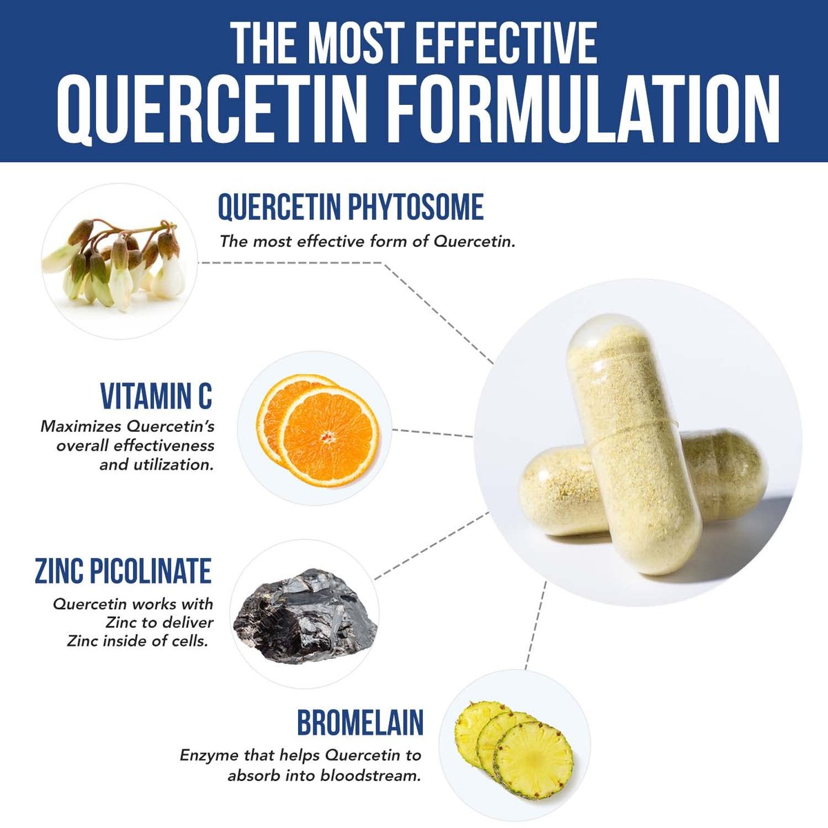 Quercetin Complete® – Quercetin Phytosom mit 50-fach höherer Absorption, klinisch belegt & patentiert Quercefit – Die effektivste Form von Quercetin – angereichert mit Bromelain, Zink & Vitamin C (60 Kapseln)