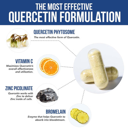 Quercetin Complete® – Quercetin Phytosom mit 50-fach höherer Absorption, klinisch belegt & patentiert Quercefit – Die effektivste Form von Quercetin – angereichert mit Bromelain, Zink & Vitamin C (60 Kapseln)