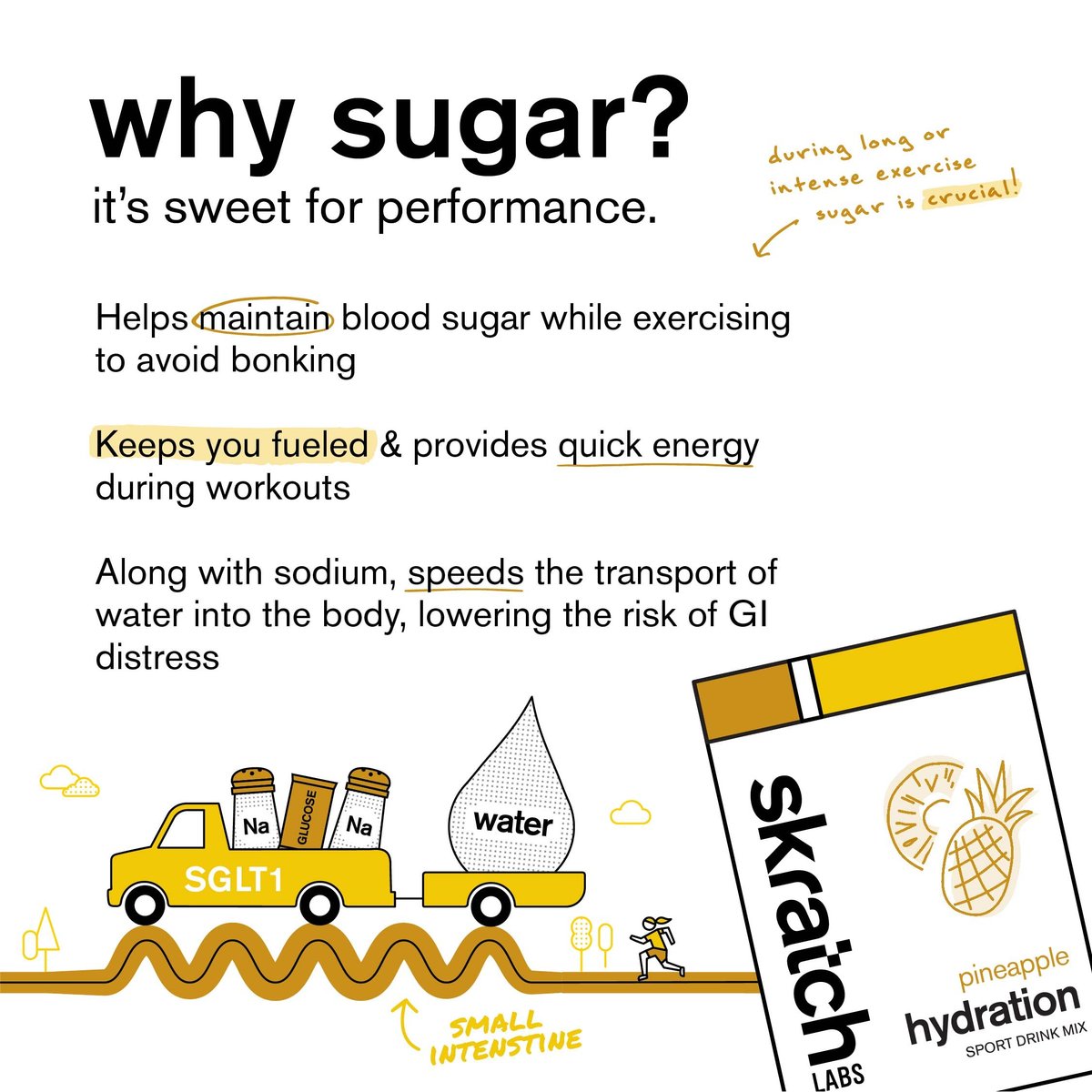 Skratch Labs Hydration Sports Drink Mix – Ananas-Elektrolytpulver für schnelle Flüssigkeitszufuhr & Ausdauer | 20 Portionen | Vegan, Nicht-GVO, Saubere Inhaltsstoffe