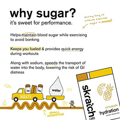 Skratch Labs Hydration Sports Drink Mix – Ananas-Elektrolytpulver für schnelle Flüssigkeitszufuhr & Ausdauer | 20 Portionen | Vegan, Nicht-GVO, Saubere Inhaltsstoffe