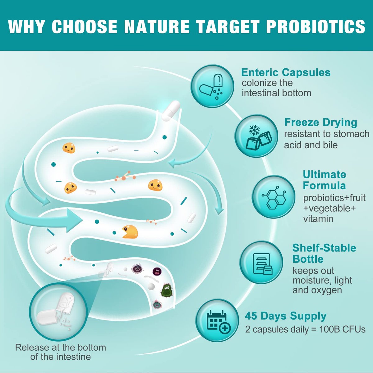 NATURE TARGET Probiotika für Frauen-Männer Verdauungsgesundheit, 100 Milliarden für Darm- und Immunsystem, ohne Kühlung, 90 vegane Kapseln (45 Tage Vorrat)