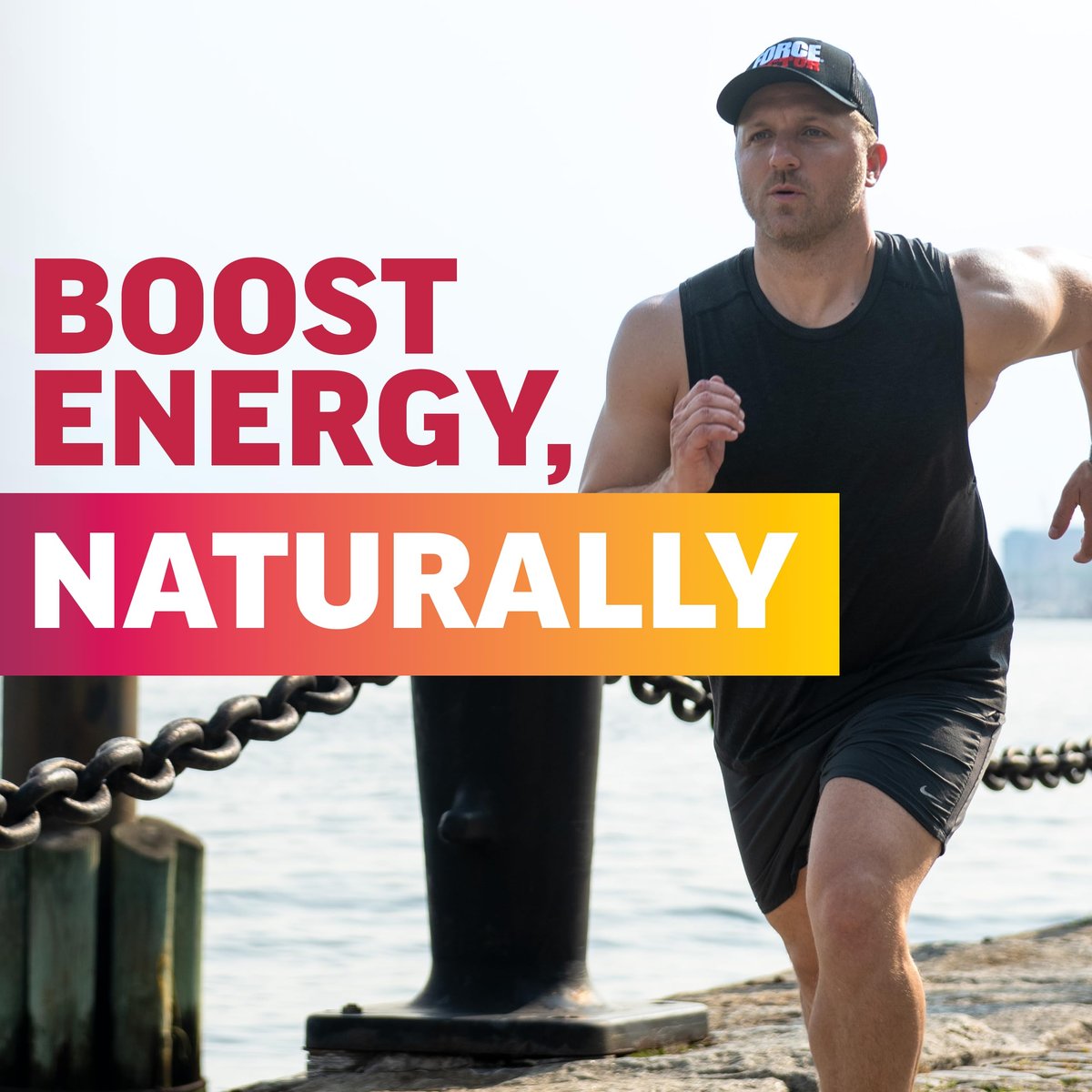 Force Factor Total Beets Rote-Bete-Pulver mit Energie, NO3-T® Nitrate zur Unterstützung von Kreislauf, Blutdruck, Durchblutung und Ausdauer – plus Grüntee-Extrakt. Ein Superfood-Ergänzungsmittel, 30 Portionen