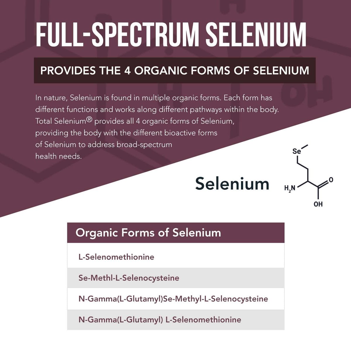 Total Selenium - 200 mcg, pflanzlich - Vollspektrum mit 4 essentiellen organischen Selenformen inkl. Selenomethionin - aus Knoblauch gewonnen - 60 Kapseln