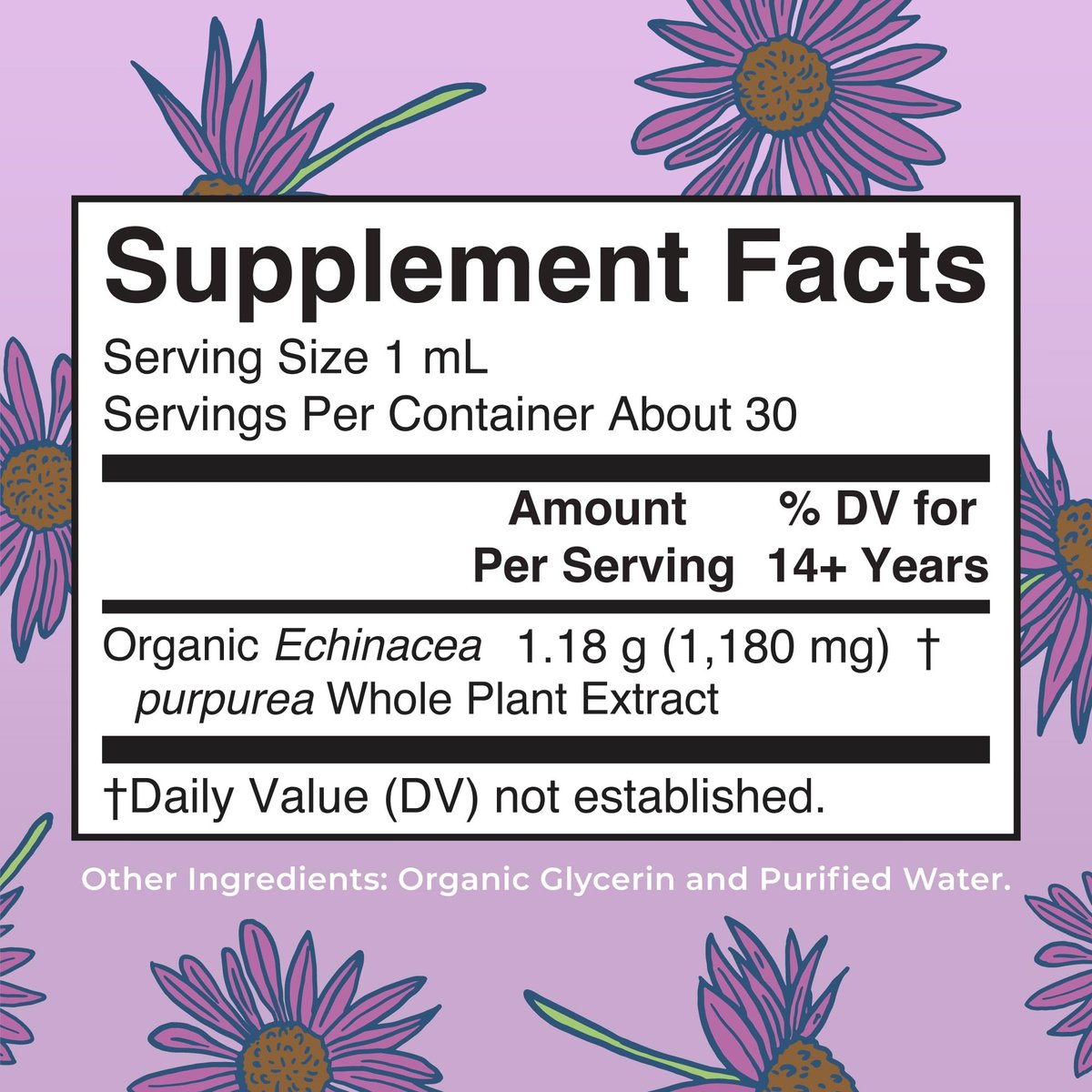 MARYRUTH'S Organics Echinacea Purpurea Liquid – Zuckerfrei, USDA Organic, Alkoholfrei, Vegan – 30 ml