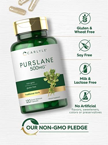 Carlyle Purslane Kapseln | 120 Stück | Portulaca Oleracea Extrakt | Nicht-GVO, glutenfreies Nahrungsergänzungsmittel
