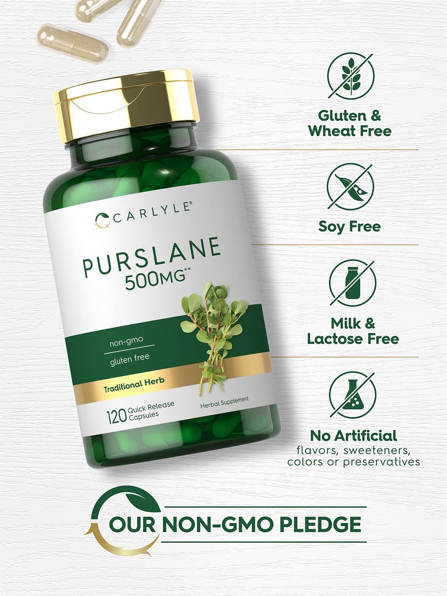 Carlyle Purslane Kapseln | 120 Stück | Portulaca Oleracea Extrakt | Nicht-GVO, glutenfreies Nahrungsergänzungsmittel