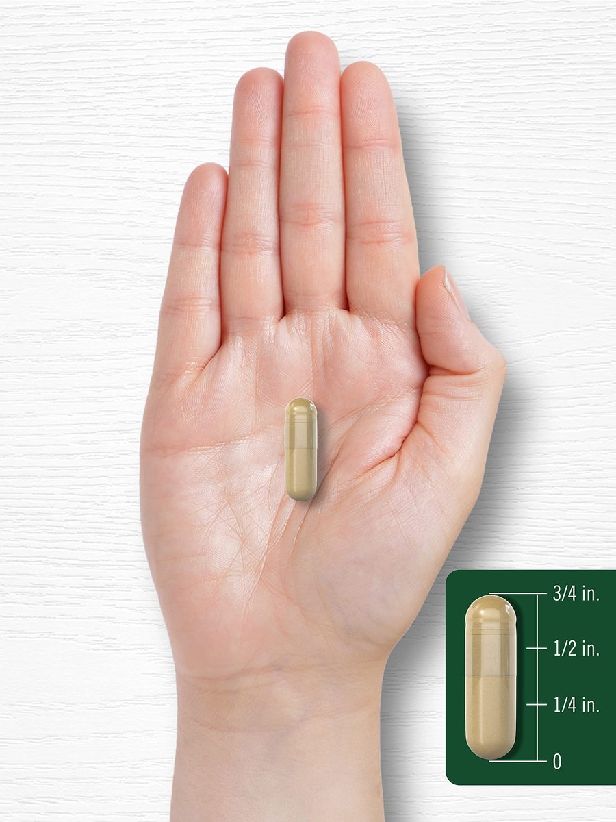 Carlyle Yucca Root Extract – 120 Kapseln | Kräuterergänzung | Nicht-GMO und Glutenfrei