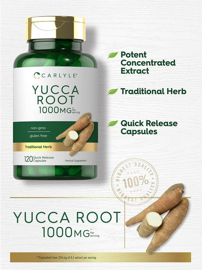 Carlyle Yucca Root Extract – 120 Kapseln | Kräuterergänzung | Nicht-GMO und Glutenfrei