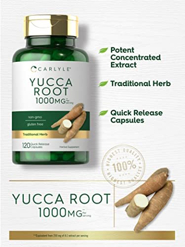 Carlyle Yucca Root Extract – 120 Kapseln | Kräuterergänzung | Nicht-GMO und Glutenfrei