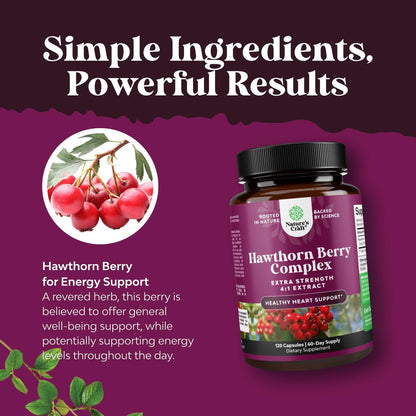 Hochdosierte Weißdornbeeren Kapseln – Reines Antioxidans Weißdorn-Ergänzungsmittel mit Blatt- & Blütenextrakt 4:1 für ein gesundes Herz & Verdauung – Energieunterstützung für Männer & Frauen – 120 Kapseln