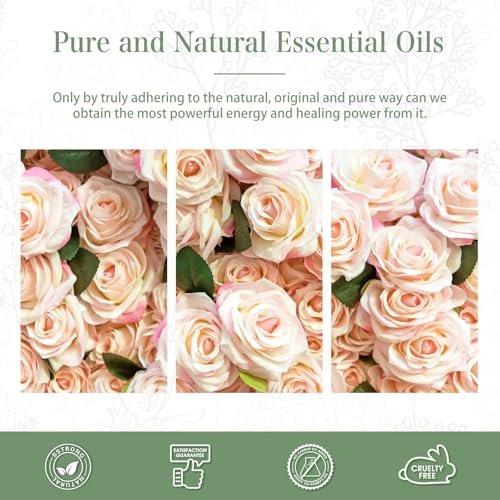 PHATOIL Rosenöl 3,38 FL.OZ mit Glas-Tropfer – 100 % reines ätherisches Öl für Aromatherapie-Diffuser, Luftbefeuchter, DIY-Kerzen- und Seifenherstellung, 100 ml Flasche