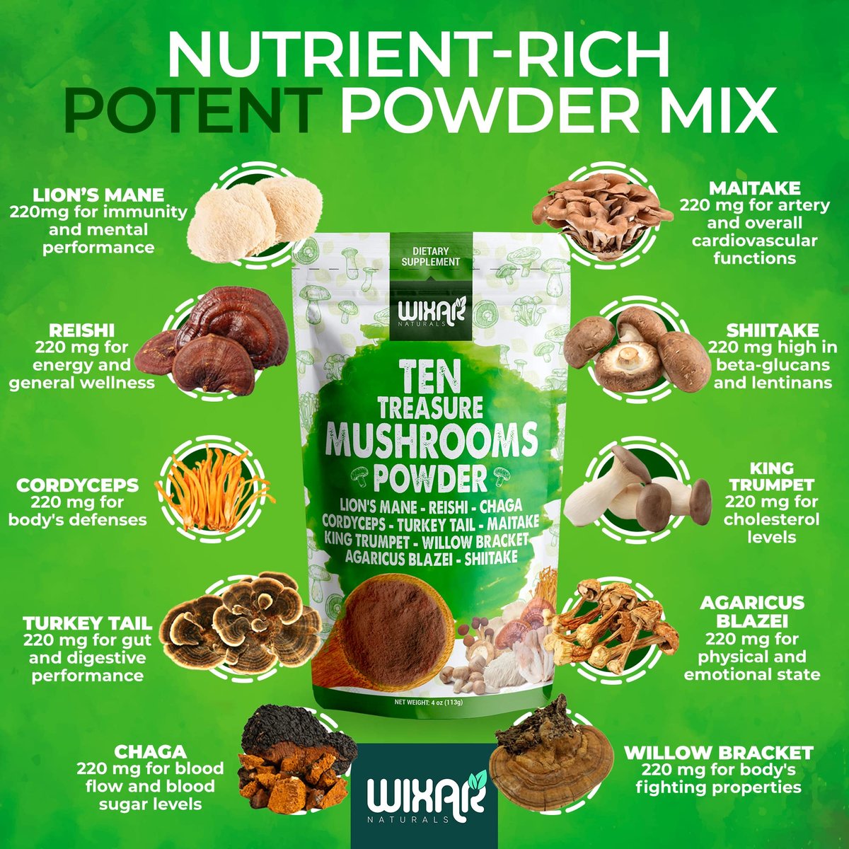 Wixar Pilz-Pulver – Zehn-Schätze-Pilzextrakt-Mischung für Kaffee & Smoothies – Löwenmähne, Truthahnschwanz, Reishi, Chaga, Shiitake, Cordyceps, Komplex – 113g Pilzergänzung
