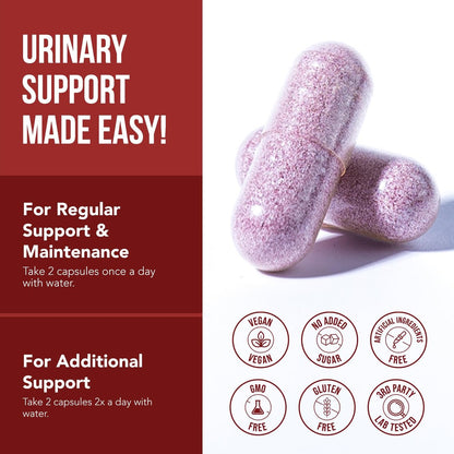 CranEaze®: Cranberrysaft-Extrakt plus D-Mannose – 36 mg PAC, 100% lösliches PAC – Unterstützt die Gesundheit der Harnwege – Wirksamste Cranberry-Kapseln für Frauen, UTI-Cranberry-Ergänzung – 60 Kapseln