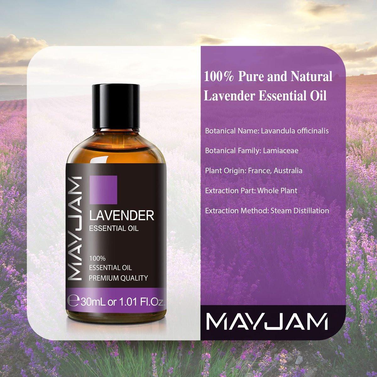 MAYJAM Lavendel Öl 30ml / 1,01 Fl.oz - Reines Aromatherapie Lavendelöl für Massage, Diffuser, Seifenherstellung, langanhaltender Duft