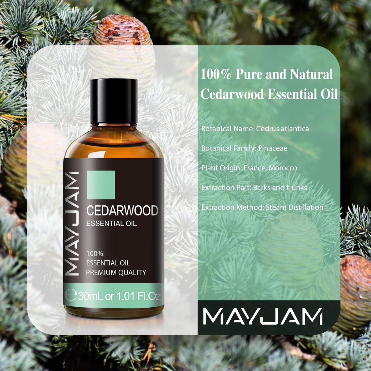 MAYJAM Zedernholz Ätherisches Öl 30ml - Premium Qualität für Massage, Diffuser, Kerzenherstellung & DIY Seife