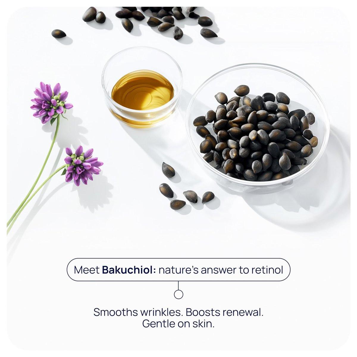 PUREANCE Bio-Bakuchiol Plumping Serum – Organisches Bakuchiol Serum für Gesicht, Falten & Kollagen – Zellregeneration mit Jojobaöl, Sanddorn, Camu Camu, Babchi, Ahornblatt-Extrakten & mehr – 30 ml