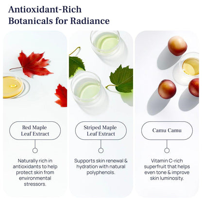 PUREANCE Bio-Bakuchiol Plumping Serum – Organisches Bakuchiol Serum für Gesicht, Falten & Kollagen – Zellregeneration mit Jojobaöl, Sanddorn, Camu Camu, Babchi, Ahornblatt-Extrakten & mehr – 30 ml