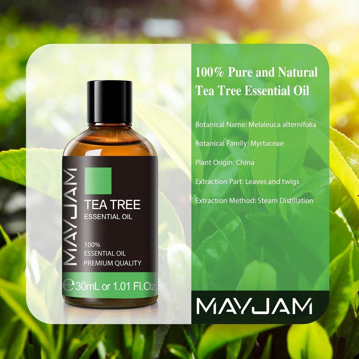 Tea Tree Öl, MAYJAM Reines ätherisches Öl für Diffuser, 30 ml – Ideal für Zuhause & Büro