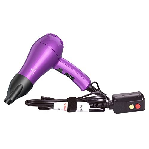 Wazor Leichter Mini-Haartrockner für Pour Painting & Wohnmobil Kompakter Reise-Haartrockner für Kinder 1000W Ionen-Haartrockner mit Konzentrator und Kaltlufttaste
