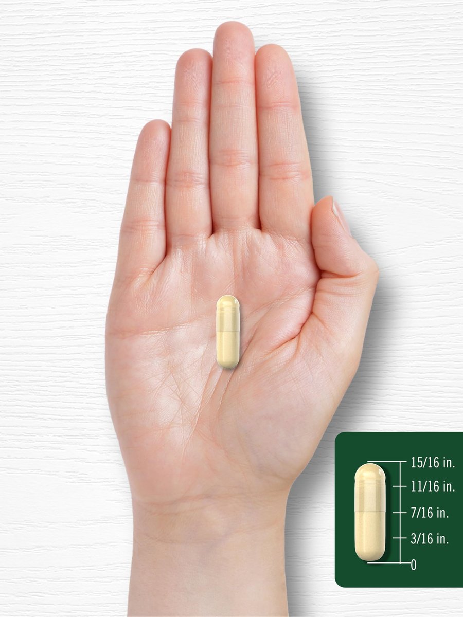 Carlyle Soja-Isoflavone Nahrungsergänzung | 200 Kapseln | Nicht-GVO und glutenfreie Formel für Männer und Frauen