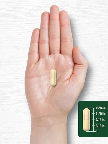 Carlyle Soja-Isoflavone Nahrungsergänzung | 200 Kapseln | Nicht-GVO und glutenfreie Formel für Männer und Frauen
