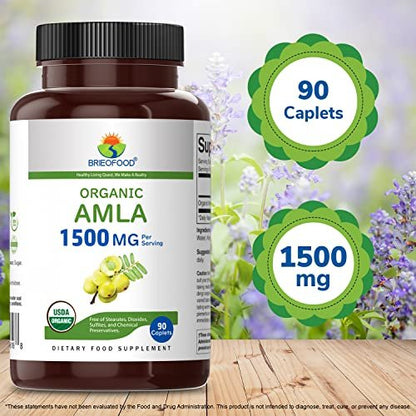 Brieofood Bio Amla 1500mg, 45 Portionen, Vegetarisch, Glutenfrei, 90 Vegetarische Tabletten