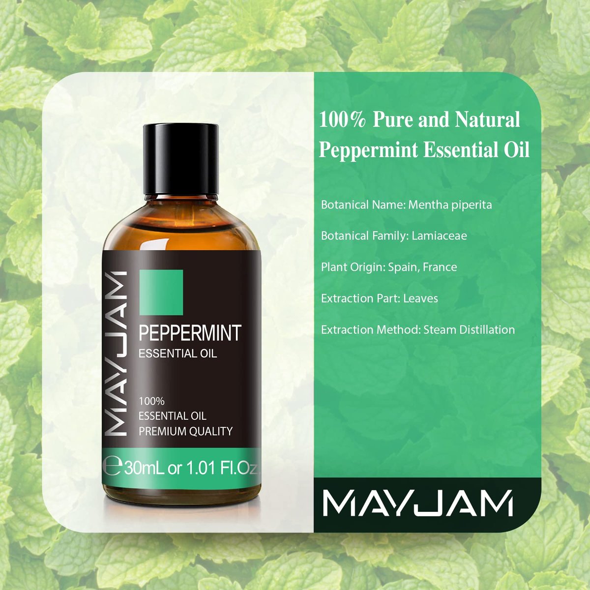 MAYJAM Pfefferminzöl 30 ml – 100% reines ätherisches Öl für Diffuser, Luftbefeuchter und DIY-Projekte