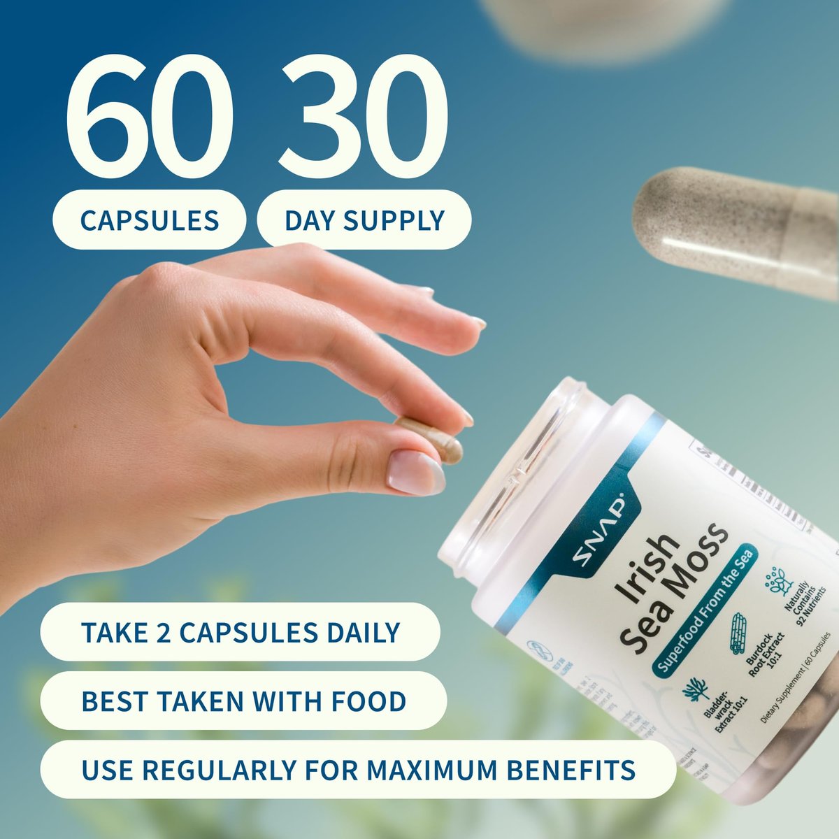 Snap Supplements Irisches Moos mit Blasentang, Klettenwurzel & Jod – Natürliches Seemoos-Präparat zur Unterstützung der Darmgesundheit, Energie & gesund aussehender Haut, 60 vegane Kapseln (1 Monatsvorrat)