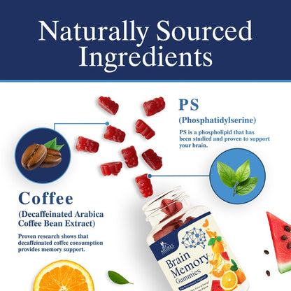 Gehirn-Gummis mit 3-facher Stärke - Nootropika für Gedächtnis, Fokus & Konzentration - mit Phosphatidylserin, B6, B12 & Nootropika - 60 Gummis