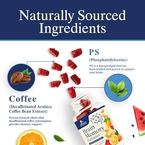 Gehirn-Gummis mit 3-facher Stärke - Nootropika für Gedächtnis, Fokus & Konzentration - mit Phosphatidylserin, B6, B12 & Nootropika - 60 Gummis