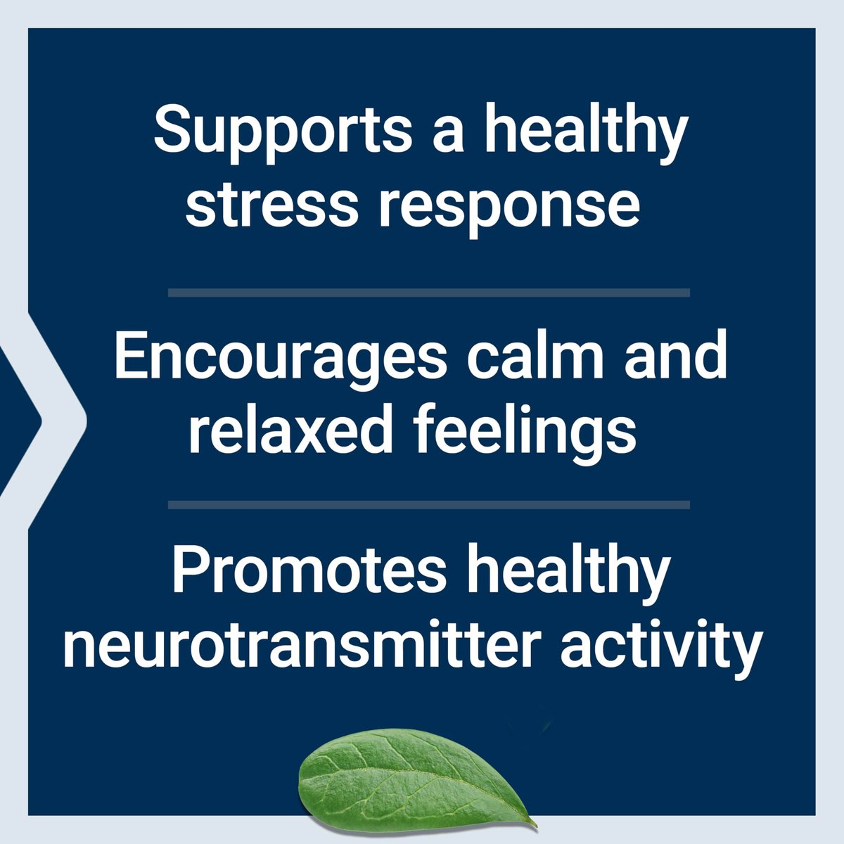Life Extension Calm-Mag, Magnesiumacetyltaurinat, Tägliche Stressmanagement-Formel, Unterstützt Ruhe und Entspannung, Glutenfrei, Nicht-GVO, Vegetarisch, 30 Kapseln