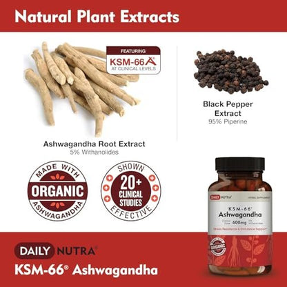 DailyNutra KSM-66 Ashwagandha 600mg Bioaktiver Wurzelextrakt - Hochdosiertes Nahrungsergänzungsmittel mit 5% Withanoliden | Lindert Müdigkeit, Fördert Entspannung, Konzentration, Energie & Muskelwachstum (60 Kapseln)