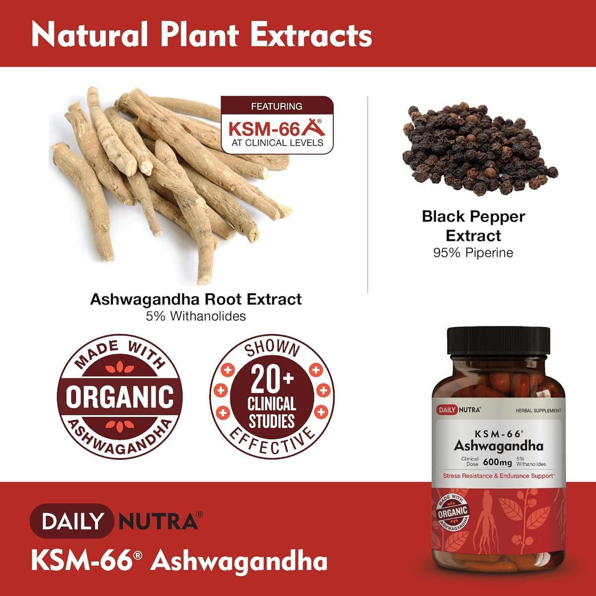 DailyNutra KSM-66 Ashwagandha 600mg Bioaktiver Wurzelextrakt - Hochdosiertes Nahrungsergänzungsmittel mit 5% Withanoliden | Lindert Müdigkeit, Fördert Entspannung, Konzentration, Energie & Muskelwachstum (60 Kapseln)