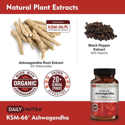 DailyNutra KSM-66 Ashwagandha 600mg Bioaktiver Wurzelextrakt - Hochdosiertes Nahrungsergänzungsmittel mit 5% Withanoliden | Lindert Müdigkeit, Fördert Entspannung, Konzentration, Energie & Muskelwachstum (60 Kapseln)