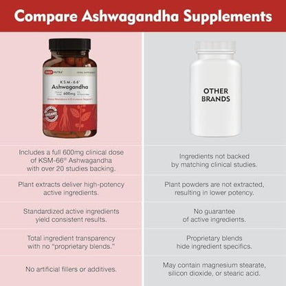 DailyNutra KSM-66 Ashwagandha 600mg Bioaktiver Wurzelextrakt - Hochdosiertes Nahrungsergänzungsmittel mit 5% Withanoliden | Lindert Müdigkeit, Fördert Entspannung, Konzentration, Energie & Muskelwachstum (60 Kapseln)