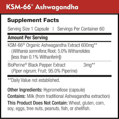 DailyNutra KSM-66 Ashwagandha 600mg Bioaktiver Wurzelextrakt - Hochdosiertes Nahrungsergänzungsmittel mit 5% Withanoliden | Lindert Müdigkeit, Fördert Entspannung, Konzentration, Energie & Muskelwachstum (60 Kapseln)
