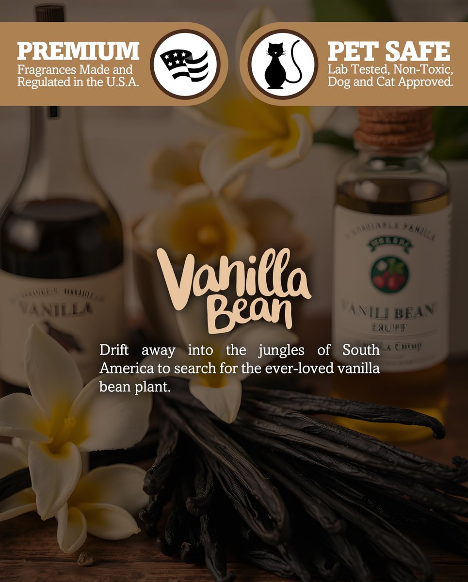 Shortie's Candle Company Vanille-Bohnen natürliche Sojawachs-Schmelzen – 1 stark duftender 85 g Riegel – Hergestellt mit 100 % Soja und ätherischen Duftölen – Phthalat- & paraffinfrei, vegan, ungiftig