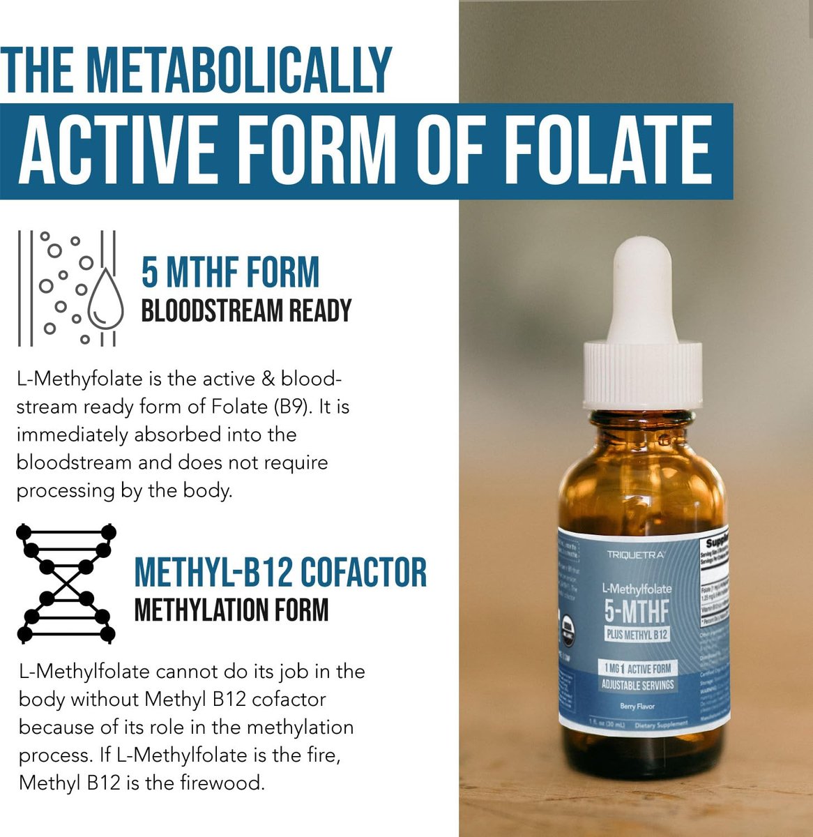 Organisches Methylfolat 1000 mcg + Methyl-B12 Co-Faktor (300 Portionen) – metabolisch aktive 5-MTHF-Form, Bio-Beeren-Geschmack, flüssige sublinguale Form – Stimmung, Kognition, Methylierung, Schwangerschaft (30 ml)