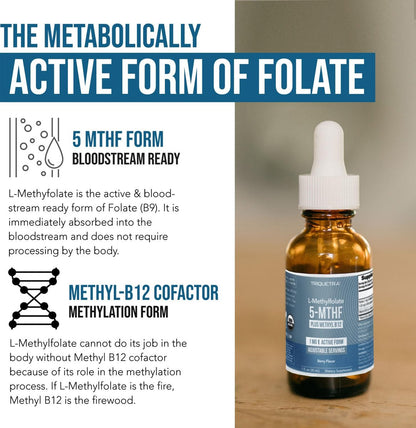 Organisches Methylfolat 1000 mcg + Methyl-B12 Co-Faktor (300 Portionen) – metabolisch aktive 5-MTHF-Form, Bio-Beeren-Geschmack, flüssige sublinguale Form – Stimmung, Kognition, Methylierung, Schwangerschaft (30 ml)