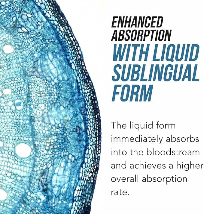 Organisches Methylfolat 1000 mcg + Methyl-B12 Co-Faktor (300 Portionen) – metabolisch aktive 5-MTHF-Form, Bio-Beeren-Geschmack, flüssige sublinguale Form – Stimmung, Kognition, Methylierung, Schwangerschaft (30 ml)