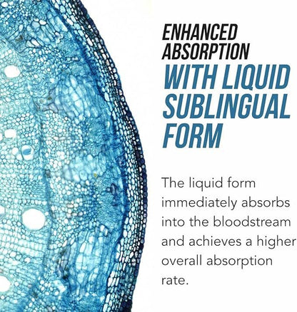 Organisches Methylfolat 1000 mcg + Methyl-B12 Co-Faktor (300 Portionen) – metabolisch aktive 5-MTHF-Form, Bio-Beeren-Geschmack, flüssige sublinguale Form – Stimmung, Kognition, Methylierung, Schwangerschaft (30 ml)