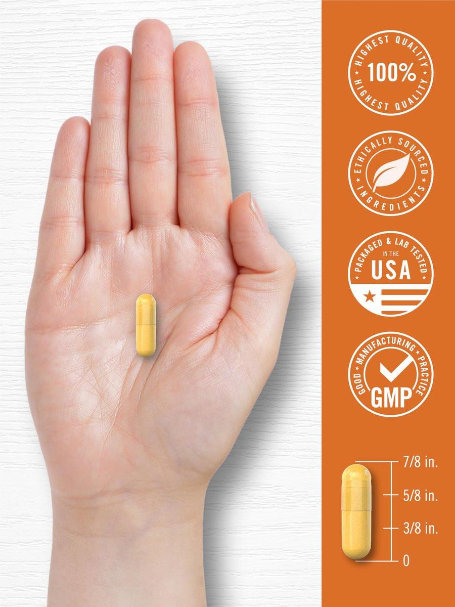 Carlyle Curcumin mit schwarzem Pfeffer | 180 Kapseln | Kurkuma Komplex Nahrungsergänzung | Non-GMO, Glutenfrei