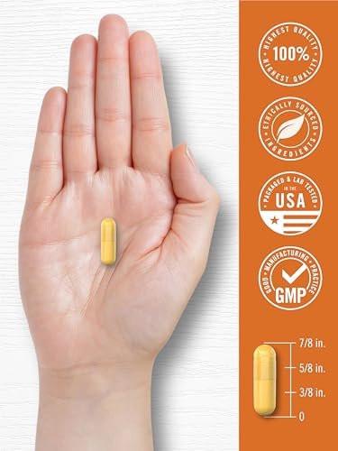 Carlyle Curcumin mit schwarzem Pfeffer | 180 Kapseln | Kurkuma Komplex Nahrungsergänzung | Non-GMO, Glutenfrei