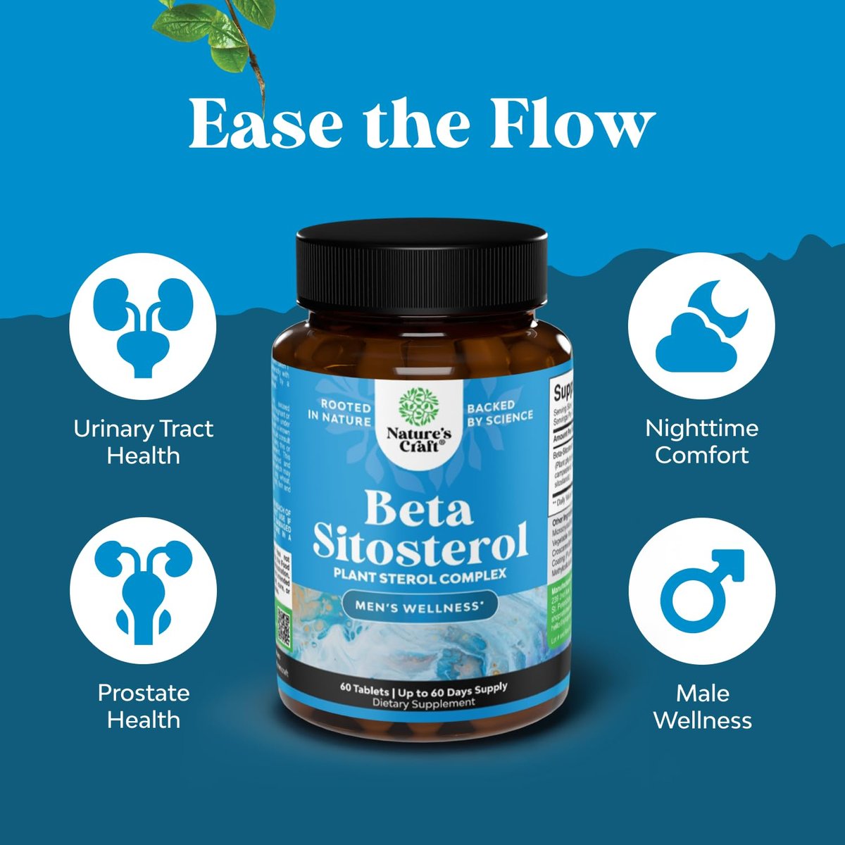 Natures Craft Pflanzensterol-Komplex mit Beta-Sitosterol - 500 mg Beta-Sitosterol, Sterole und Stanole für die Prostata-Unterstützung - Prostata-Gesundheitsergänzung für Männer - 60 Kapseln