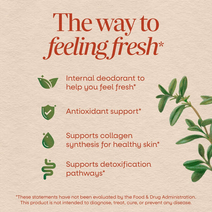 Nature's Way Chlorofresh Chlorophyll Gummies – Unterstützt gesunde Haut und Körperentgiftung, innerliches Deodorant, Obstgarten-Fruchtgeschmack, 60 Gummis