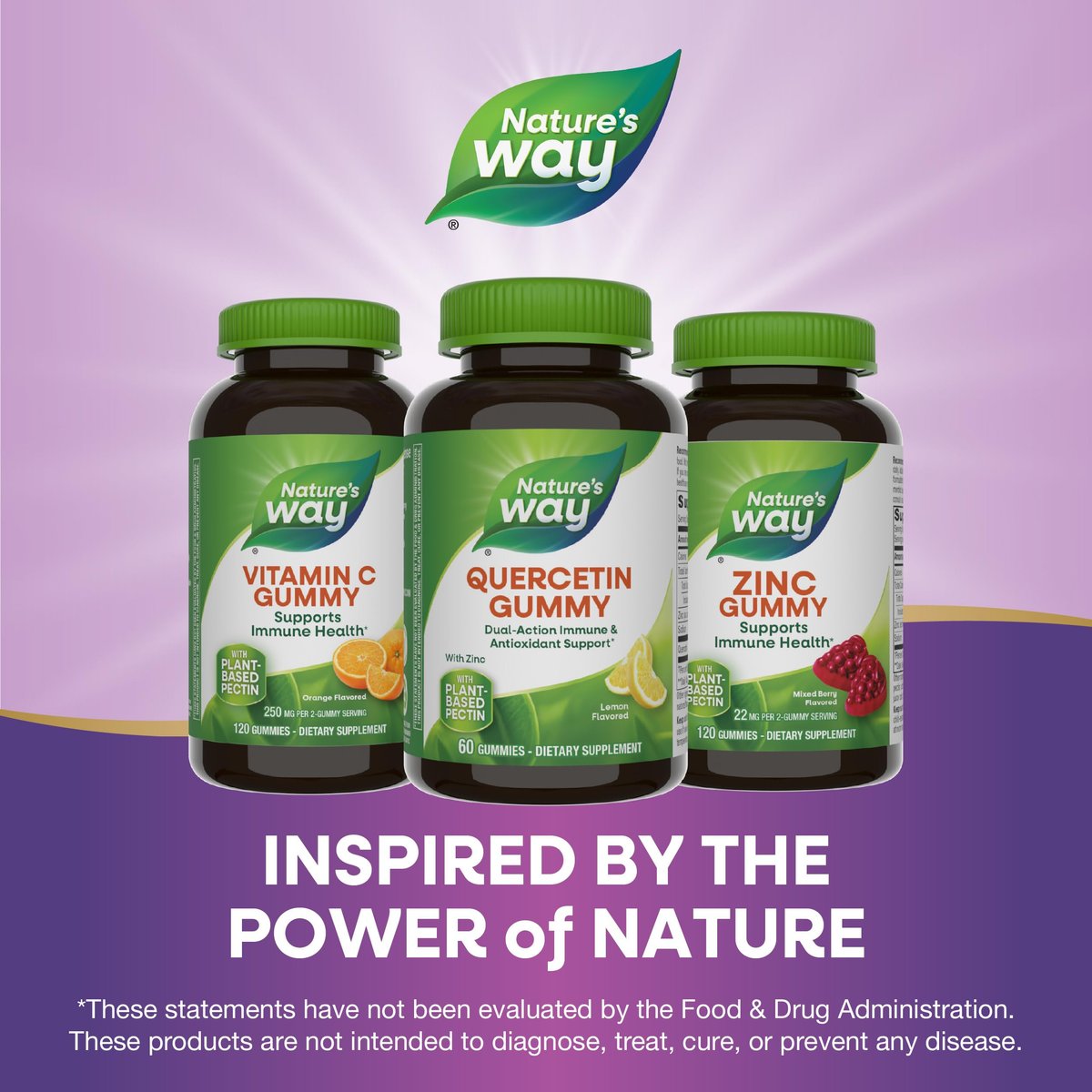 Nature's Way Quercetin Gummies mit Zink – Immunabwehr & Antioxidantien, Zitronengeschmack, 60 Gummis (Verpackung kann variieren)