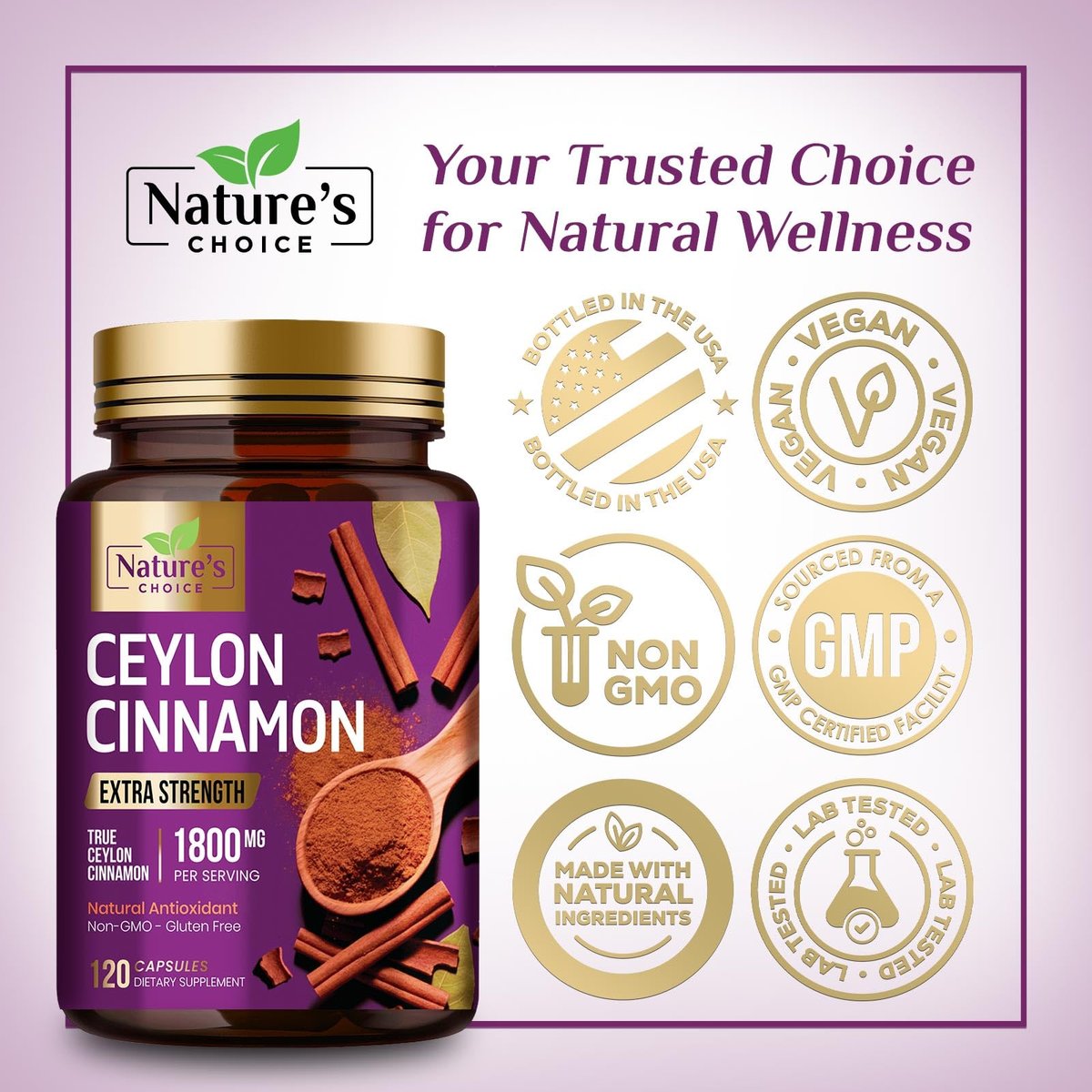 Ceylon-Zimt Kapseln - Bio-Zimtpulver aus Ceylon - 100% extra starke Zimtpillen - Energie & Herzunterstützung - Glutenfrei & Zuckerfrei - Hergestellt in den USA - 120 Kapseln
