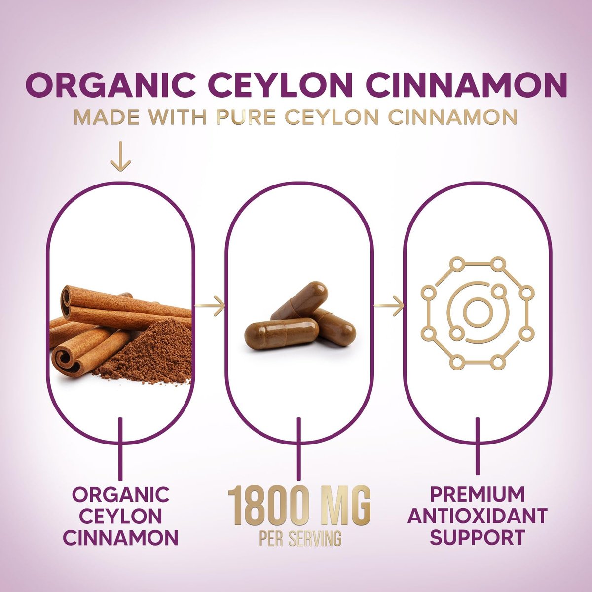 Ceylon-Zimt Kapseln - Bio-Zimtpulver aus Ceylon - 100% extra starke Zimtpillen - Energie & Herzunterstützung - Glutenfrei & Zuckerfrei - Hergestellt in den USA - 120 Kapseln