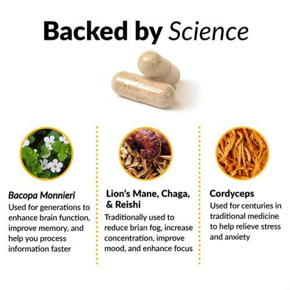 Force Factor Forebrain Focus Brain Booster – Nootropikum für Konzentration, Gedächtnis und Produktivität, 60 Kapseln